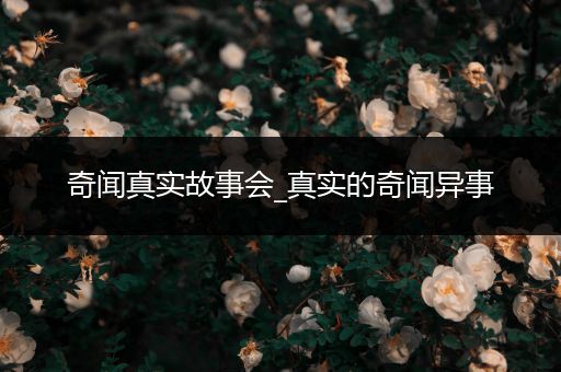 奇闻真实故事会_真实的奇闻异事