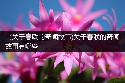 （关于春联的奇闻故事)关于春联的奇闻故事有哪些
