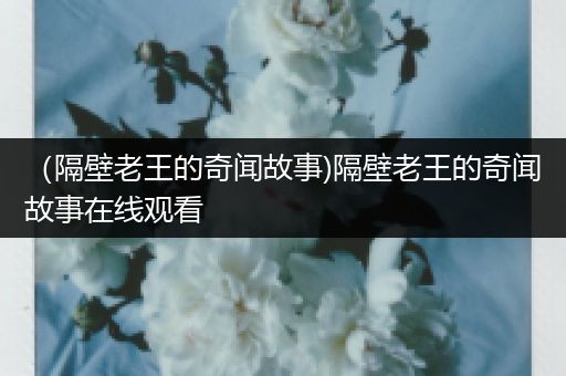 （隔壁老王的奇闻故事)隔壁老王的奇闻故事在线观看