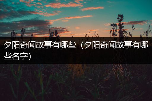 夕阳奇闻故事有哪些（夕阳奇闻故事有哪些名字）