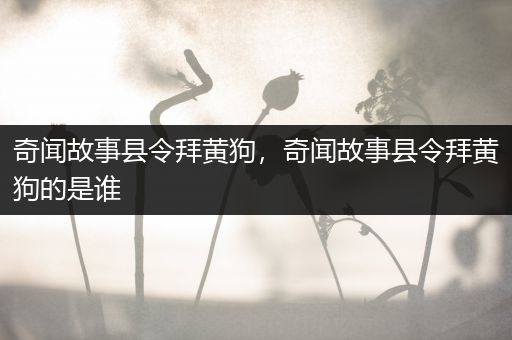 奇闻故事县令拜黄狗，奇闻故事县令拜黄狗的是谁