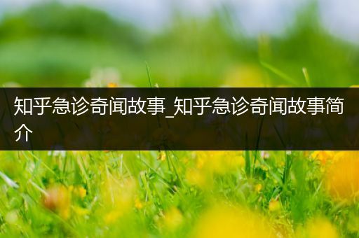 知乎急诊奇闻故事_知乎急诊奇闻故事简介