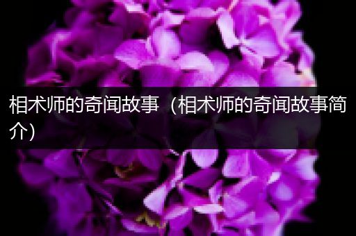 相术师的奇闻故事（相术师的奇闻故事简介）