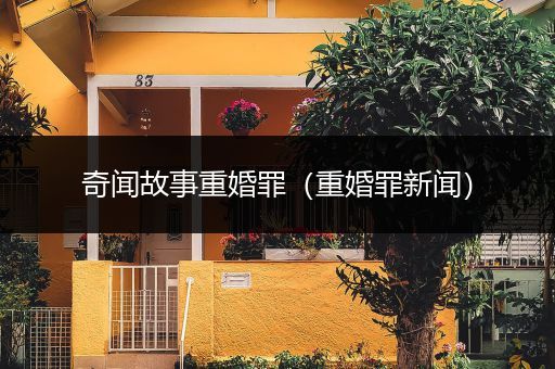 奇闻故事重婚罪（重婚罪新闻）