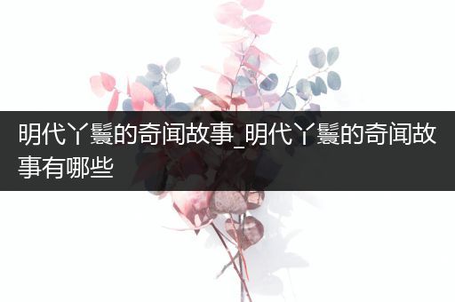 明代丫鬟的奇闻故事_明代丫鬟的奇闻故事有哪些