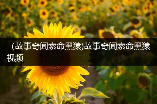 （故事奇闻索命黑猿)故事奇闻索命黑猿视频