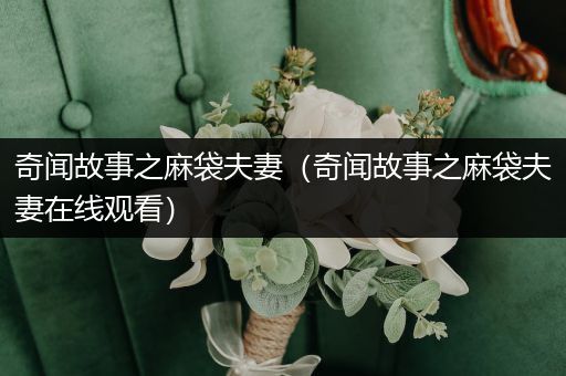 奇闻故事之麻袋夫妻（奇闻故事之麻袋夫妻在线观看）