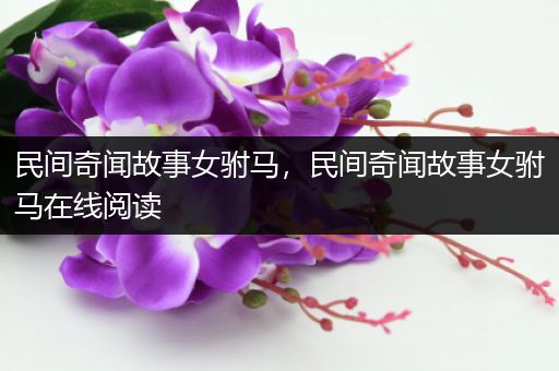 民间奇闻故事女驸马，民间奇闻故事女驸马在线阅读