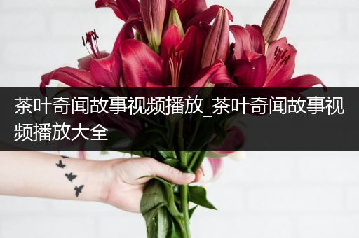 茶叶奇闻故事视频播放_茶叶奇闻故事视频播放大全