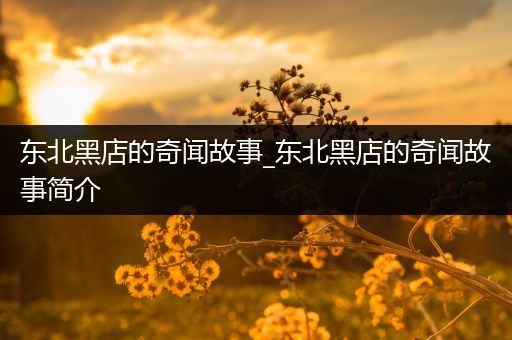 东北黑店的奇闻故事_东北黑店的奇闻故事简介