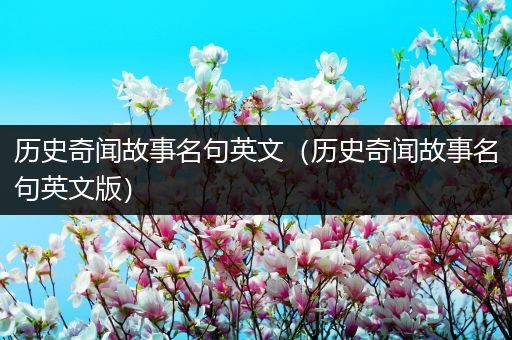 历史奇闻故事名句英文（历史奇闻故事名句英文版）