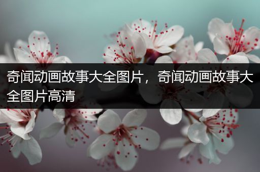 奇闻动画故事大全图片，奇闻动画故事大全图片高清