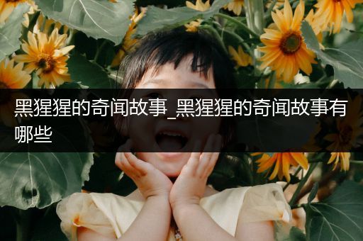 黑猩猩的奇闻故事_黑猩猩的奇闻故事有哪些