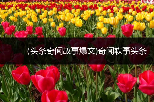 （头条奇闻故事爆文)奇闻轶事头条