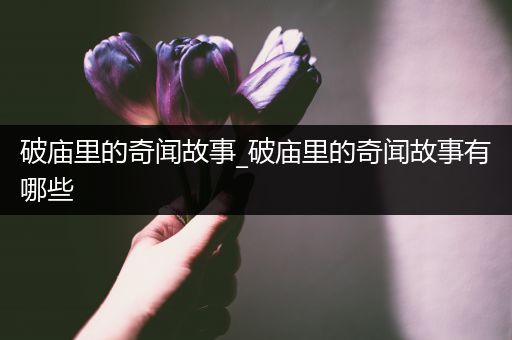 破庙里的奇闻故事_破庙里的奇闻故事有哪些