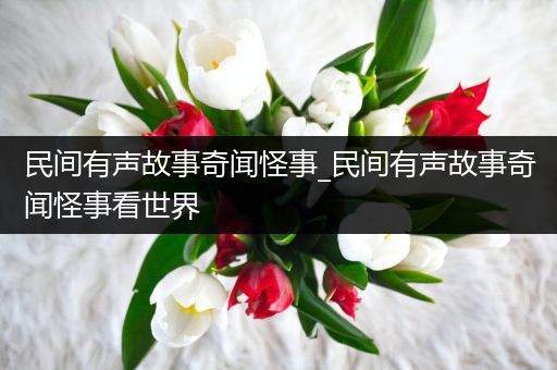 民间有声故事奇闻怪事_民间有声故事奇闻怪事看世界