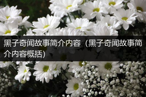 黑子奇闻故事简介内容（黑子奇闻故事简介内容概括）