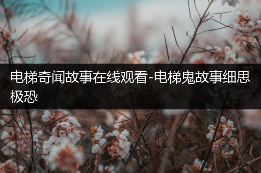 电梯奇闻故事在线观看-电梯鬼故事细思极恐