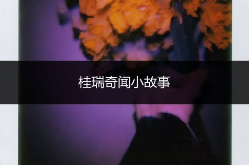 桂瑞奇闻小故事