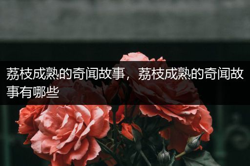 荔枝成熟的奇闻故事，荔枝成熟的奇闻故事有哪些