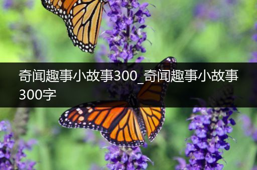 奇闻趣事小故事300_奇闻趣事小故事300字