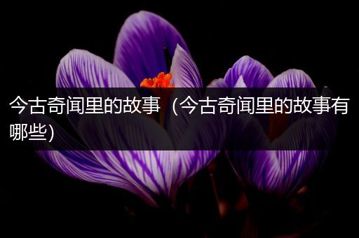 今古奇闻里的故事（今古奇闻里的故事有哪些）