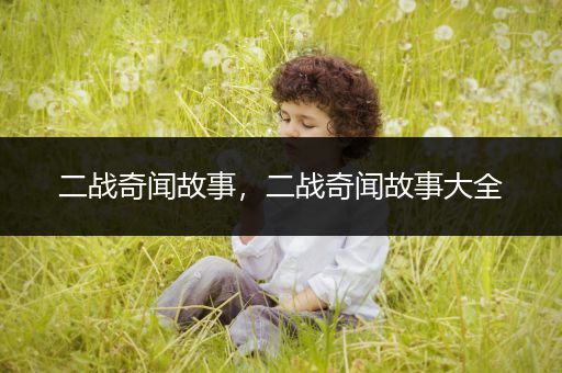 二战奇闻故事，二战奇闻故事大全