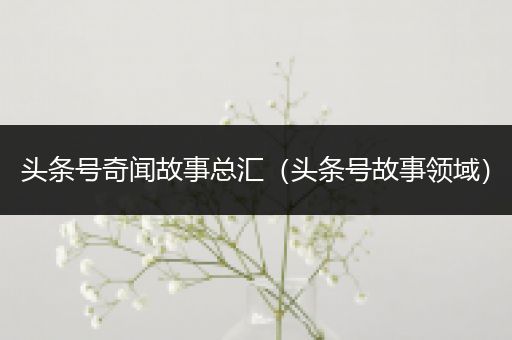 头条号奇闻故事总汇（头条号故事领域）