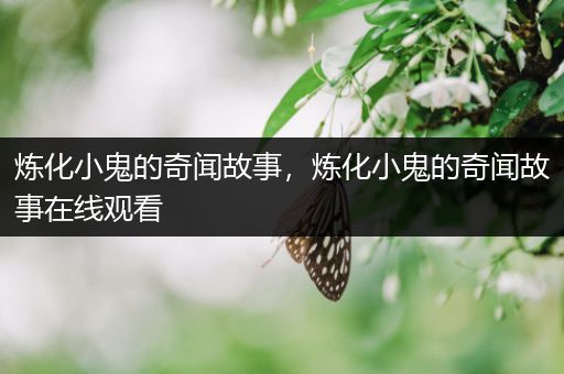 炼化小鬼的奇闻故事，炼化小鬼的奇闻故事在线观看