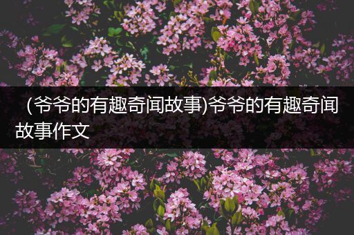 （爷爷的有趣奇闻故事)爷爷的有趣奇闻故事作文