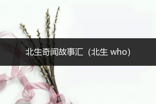 北生奇闻故事汇（北生 who）