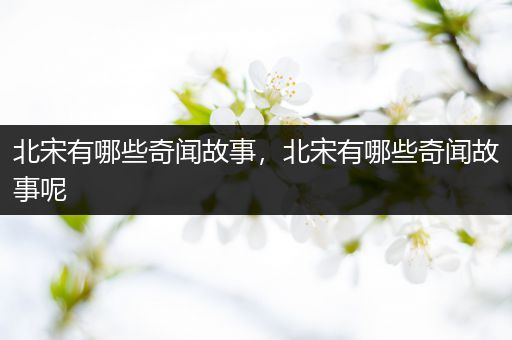 北宋有哪些奇闻故事，北宋有哪些奇闻故事呢