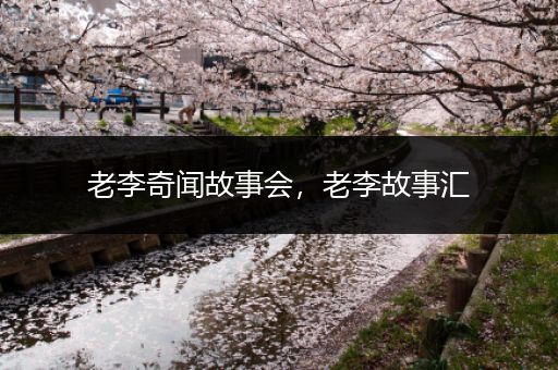 老李奇闻故事会，老李故事汇