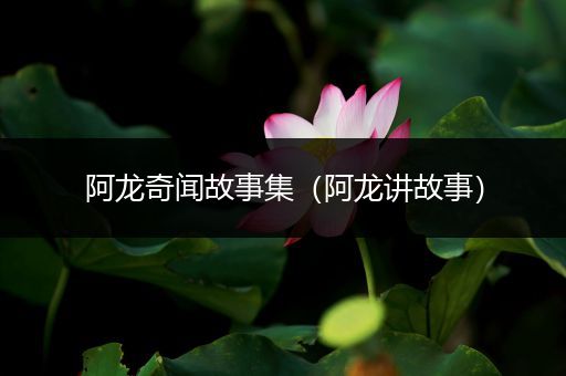 阿龙奇闻故事集（阿龙讲故事）