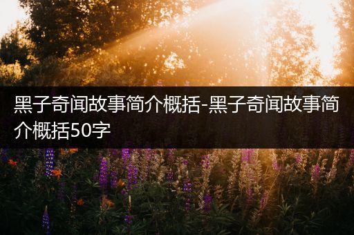 黑子奇闻故事简介概括-黑子奇闻故事简介概括50字