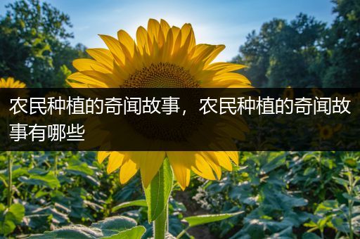 农民种植的奇闻故事，农民种植的奇闻故事有哪些