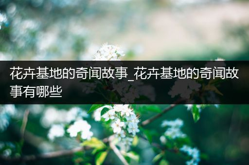 花卉基地的奇闻故事_花卉基地的奇闻故事有哪些