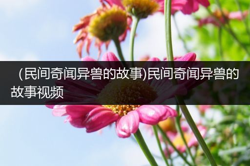 （民间奇闻异兽的故事)民间奇闻异兽的故事视频