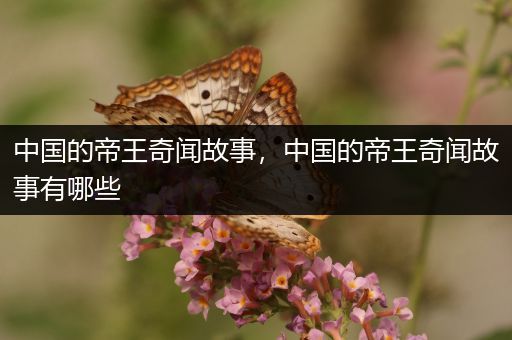 中国的帝王奇闻故事，中国的帝王奇闻故事有哪些