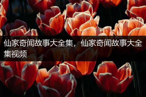 仙家奇闻故事大全集，仙家奇闻故事大全集视频