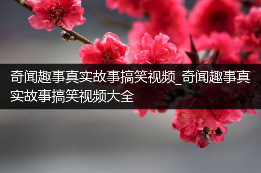奇闻趣事真实故事搞笑视频_奇闻趣事真实故事搞笑视频大全