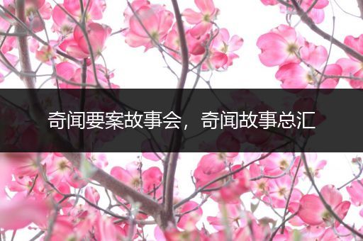 奇闻要案故事会，奇闻故事总汇