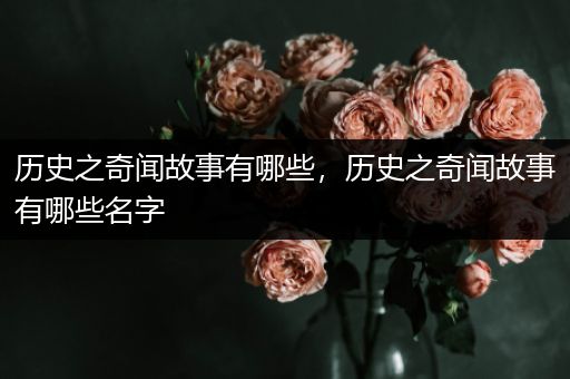 历史之奇闻故事有哪些，历史之奇闻故事有哪些名字