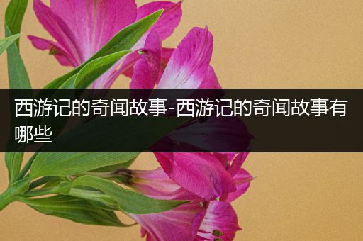 西游记的奇闻故事-西游记的奇闻故事有哪些