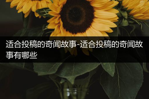 适合投稿的奇闻故事-适合投稿的奇闻故事有哪些