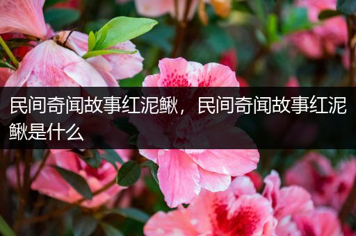 民间奇闻故事红泥鳅，民间奇闻故事红泥鳅是什么
