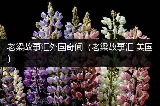 老梁故事汇外国奇闻（老梁故事汇 美国）