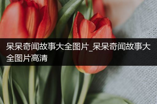 呆呆奇闻故事大全图片_呆呆奇闻故事大全图片高清