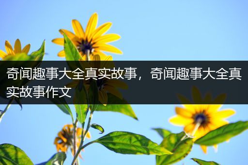 奇闻趣事大全真实故事，奇闻趣事大全真实故事作文