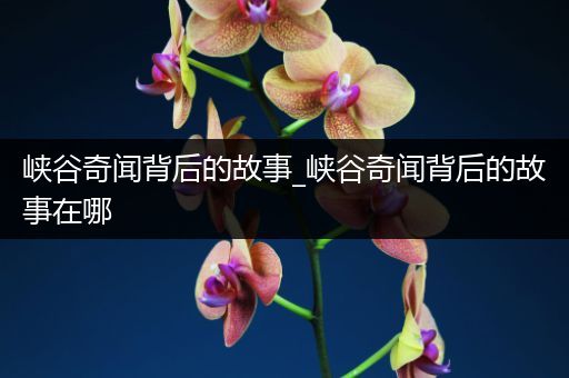峡谷奇闻背后的故事_峡谷奇闻背后的故事在哪